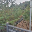 소나무부분정비 | 인왕산 단풍산행, 찐 초보자 후기 공유(준비물, 등산 하산 코스, 다이소 등산스틱 품번 정보)