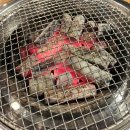 더마루