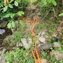 박동농장 이미지