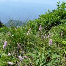 함지박골 이미지