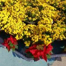 동삼3동행정복지센터 이미지