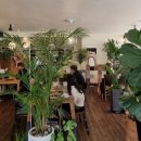 드림싱어코인노래연습장 이미지