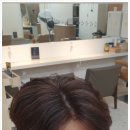 단비(dan:B) 이미지