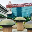 KBS만남의광장 이미지