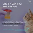 다올동물병원 이미지