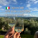 성곽민박 | 이탈리아 소도시 여행ㅣ산지미냐노 투어, 뷰 맛집에서 와인 한잔 후기 ( 피렌체 근교 추천)