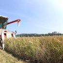 강진6호 이미지