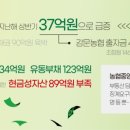 감문농협 이미지