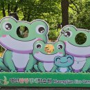 맹산생태학습원 네이버블로그