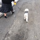 도봉-도봉-서울도봉-2116 이미지