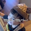 대원2목장 이미지