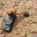 청림동-4 이미지