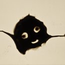 번천초등학교 이미지