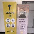 댕댕클럽 | 강릉 루프탑 애견카페, 댕댕클럽