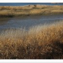 지리산물길따라펜션 이미지