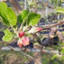 상은농장 이미지