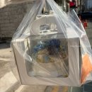 은성로62번길 | 부천 소사 떡케이크 맛있는 곳 소새울역 근처 토시루 주문제작 케이크 추천