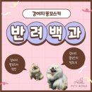 펫츠월드 이미지