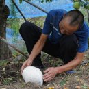 박현수농장 이미지