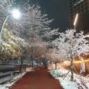 남양주시동부노인복지관(분관) 이미지