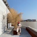 커피해요 이미지