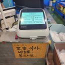 생선맛집 신화수산활어회센타 두정점 전어구이 후기 [내돈내산]