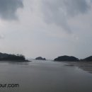 신시도연도교 Daum카페