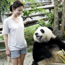 판다 이미지