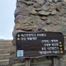 홍도엘도라도 이미지