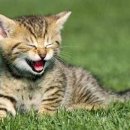 가증농장 이미지