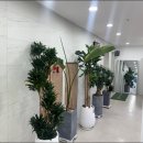 서울아산플러스비뇨의학과의원 이미지