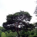 인천적십자병원 이미지