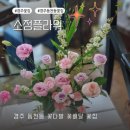 [소정플라워] 경주 동천동 꽃다발 꽃집 방문 후기