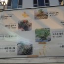 [수원역 맛집]수원역 맛집 쉐프 디 까사 비스트로