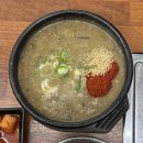 더드림돼지 | 제주도 고사리육개장 인생맛집 내돈내산 후기 제주해장국 노형드림타워점