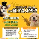 ◣서울송화초등학교 하교후 픽업? 한별음악학원~ 마곡피아노음악학원 등원, 마곡한별음악학원은 송화초등학교가 환히 보입니다. 이미지