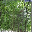 국산콩토담순두부 이미지