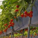 정은농장 이미지