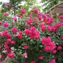 계양체육관 이미지