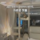 고양이를 부탁해 | 고양이를부탁해 공식 후원사 가르르 캣폴 솔직 후기