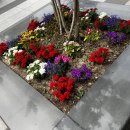 한뉘호행정사사무소 이미지