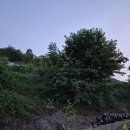 경산펜션민박 네이버블로그