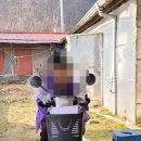 (주)이지무브 이미지
