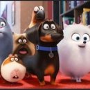 The secret life of pets 2 이미지