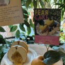 일산 대형 과수원 카페 옐로우마운틴 배 케이크 후기
