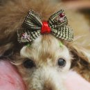 세움비즈 이미지