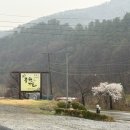 연수원밥상 | 🍽️ [충주맛집][인등산맛집] 연수원 탈출 맛집, 중원가든