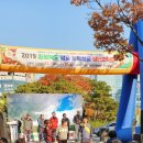 충북장터