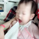 (주)송윤 이미지