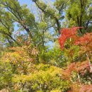 소로3-293 이미지